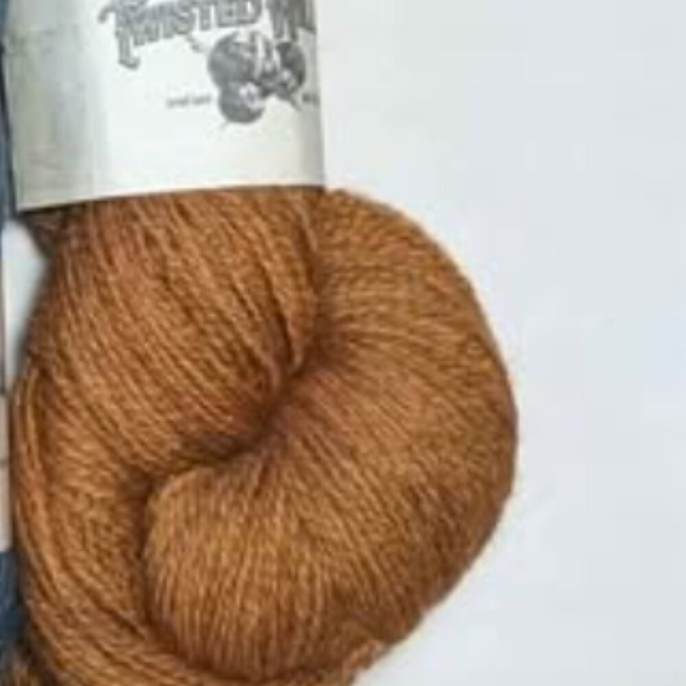 1 Skein Twisted Willow Cobblestone Fingering Weight Yarn in Persimmon - Picture 3 of 3